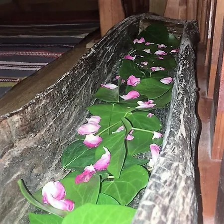 Jim Morrison Linares de Riofrío