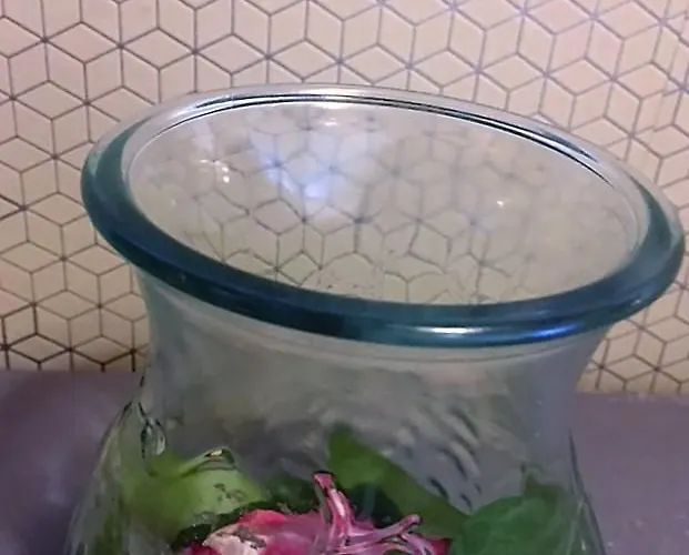 컨트리하우스 Jim Morrison Linares de Riofrío