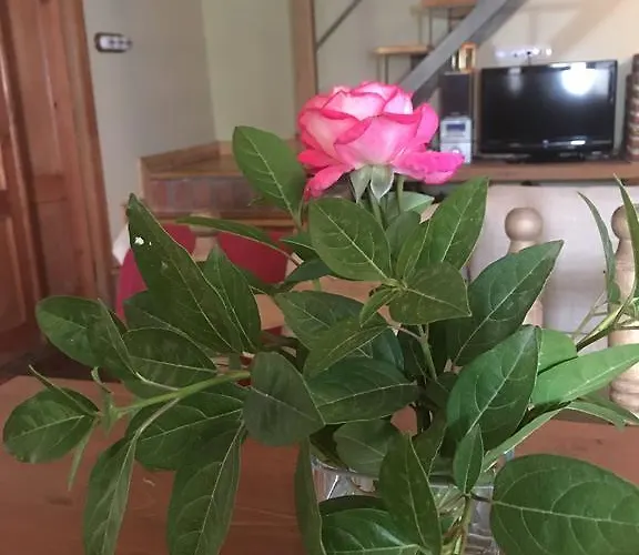 Jim Morrison Linares de Riofrío